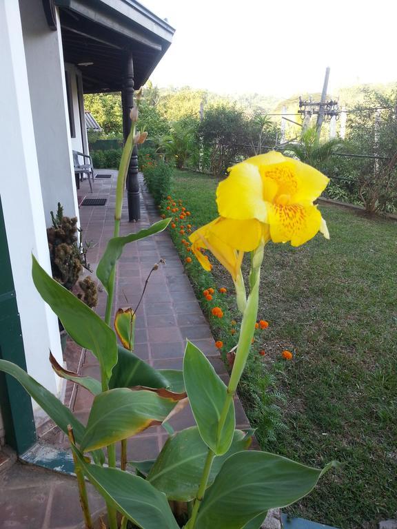 Kandy Holiday Home Εξωτερικό φωτογραφία
